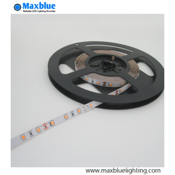 Ra90 + 2835 60LEDs / M LED Streifen Licht